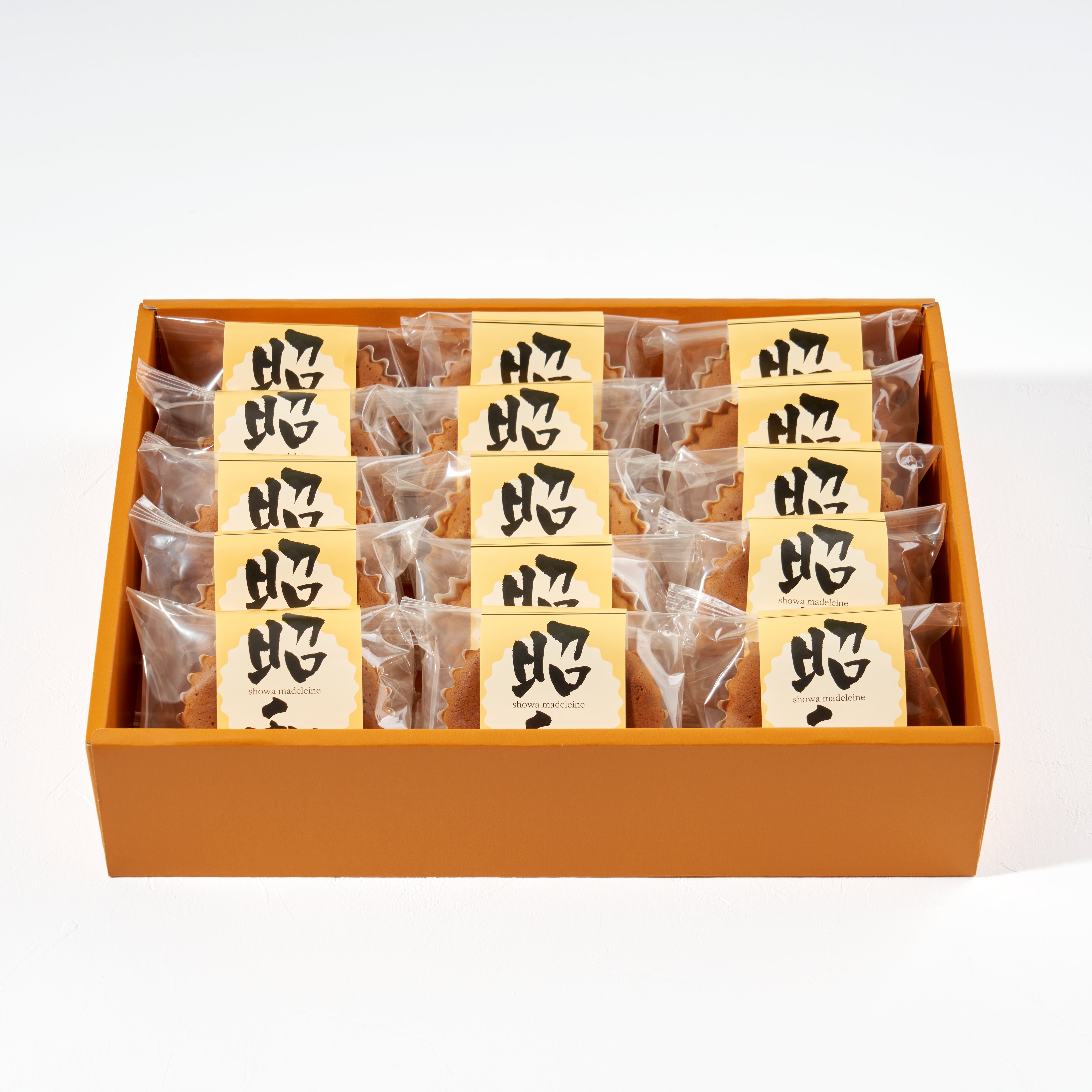 20240920__047.jpg?v=1729302878